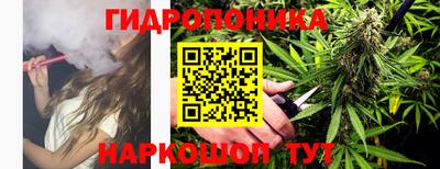 прущие грибы Кинель