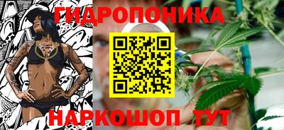 apvp Кимры